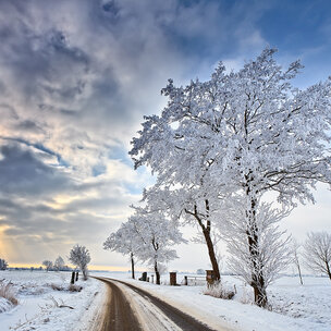 Wintersymposium kaakchirurgie VUmc: Speekselklieren